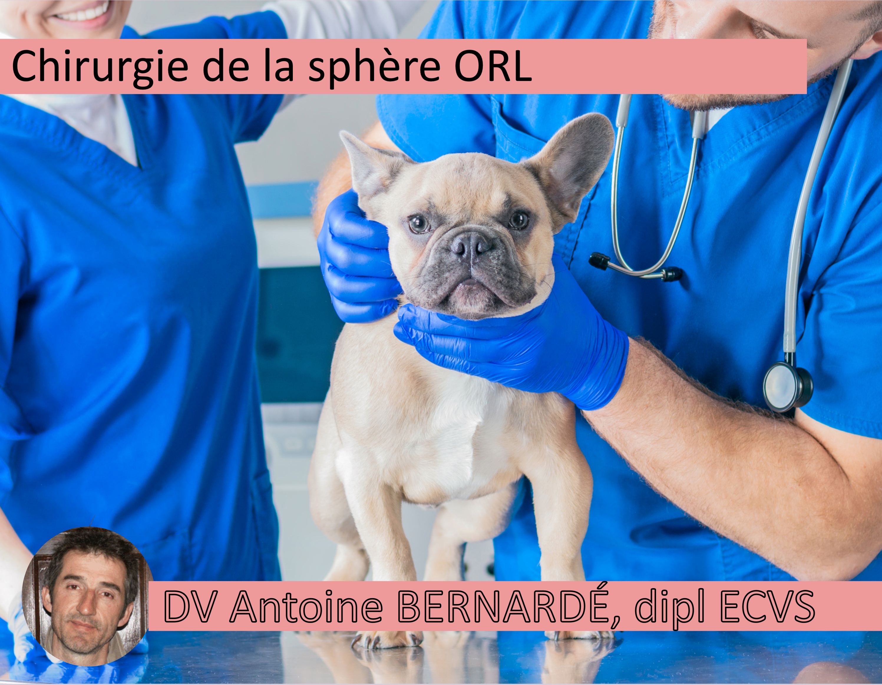 Formation CHIR1-B : Chirurgie de la sph&egrave;re ORL