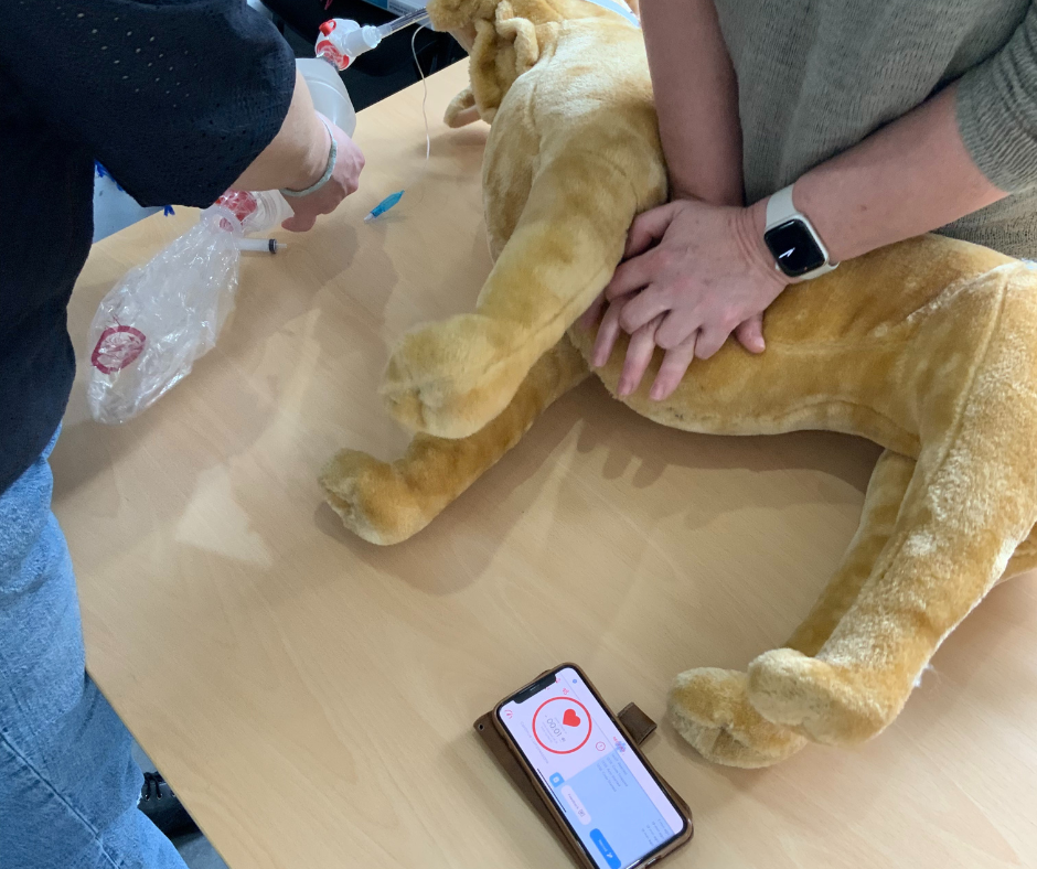 Formation URG003 : La r&eacute;animation cardio-vasculaire chez le chien et le chat