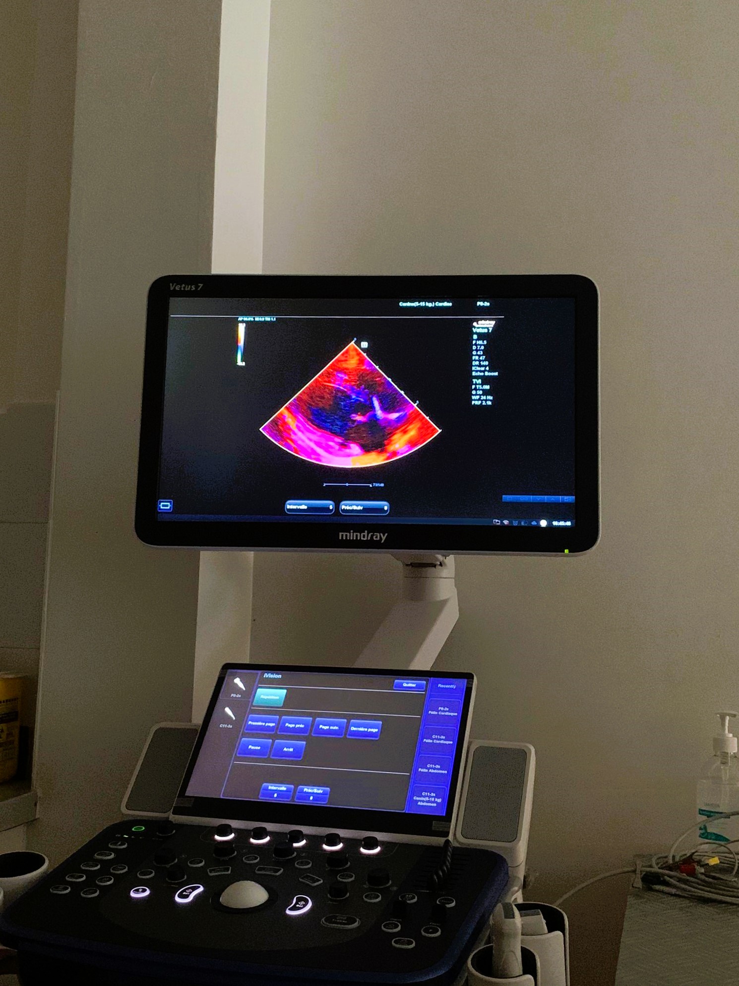 Formation CY-CARCT : Cycle en cardiologie f&eacute;line
