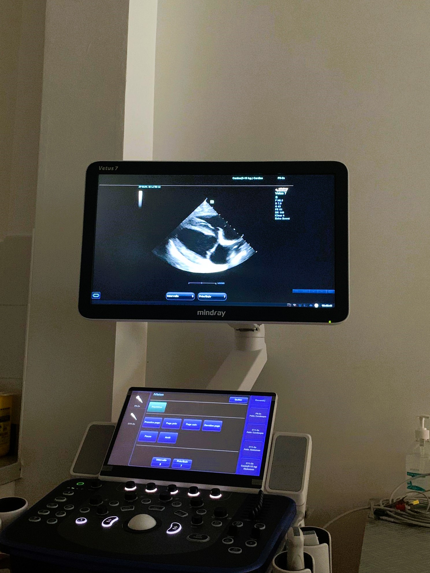 Formation CY-CARCT : Cycle en cardiologie f&eacute;line